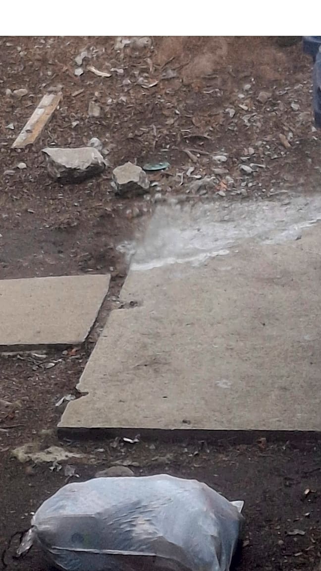 Image submitted with report
