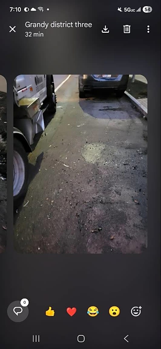 Image submitted with report