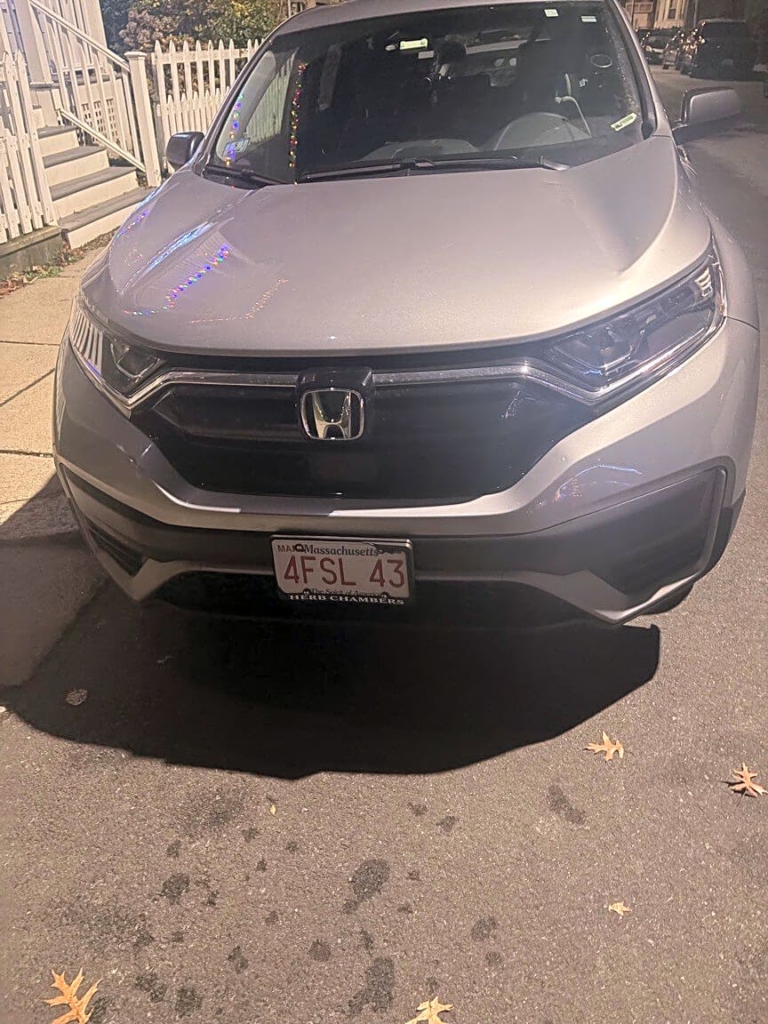 Image submitted with report