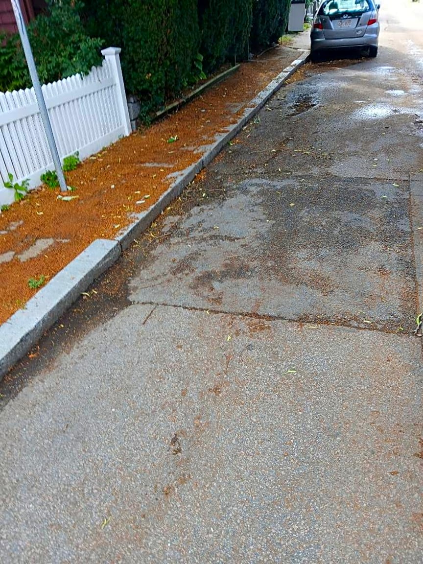 Image submitted with report