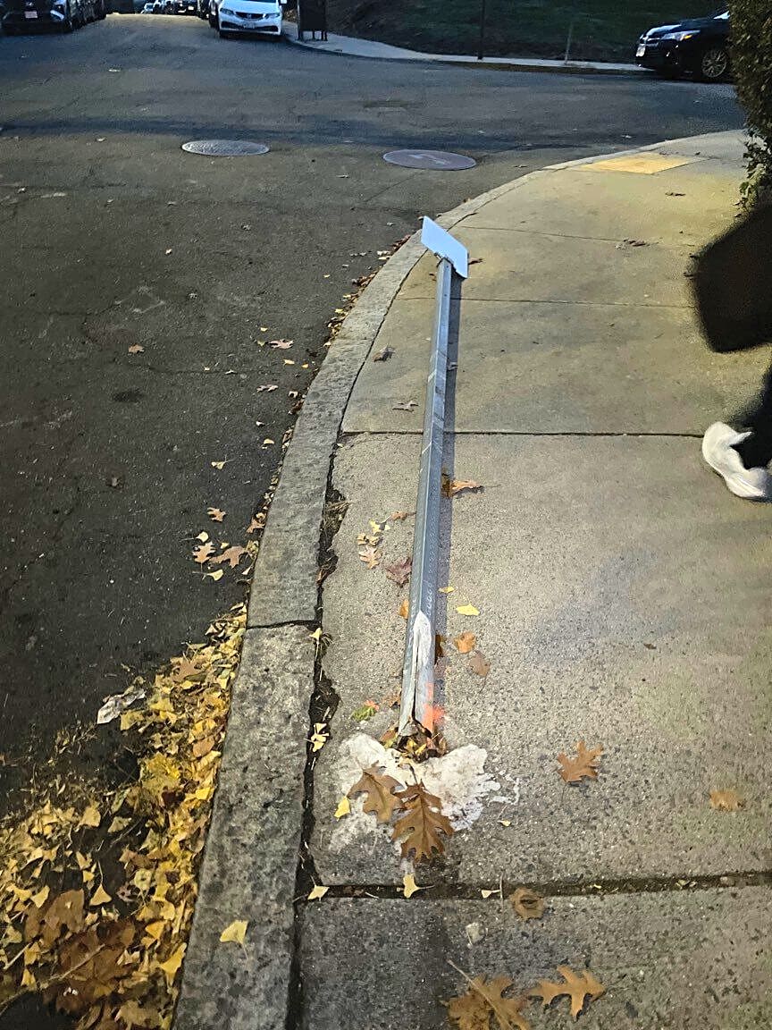 Image submitted with report