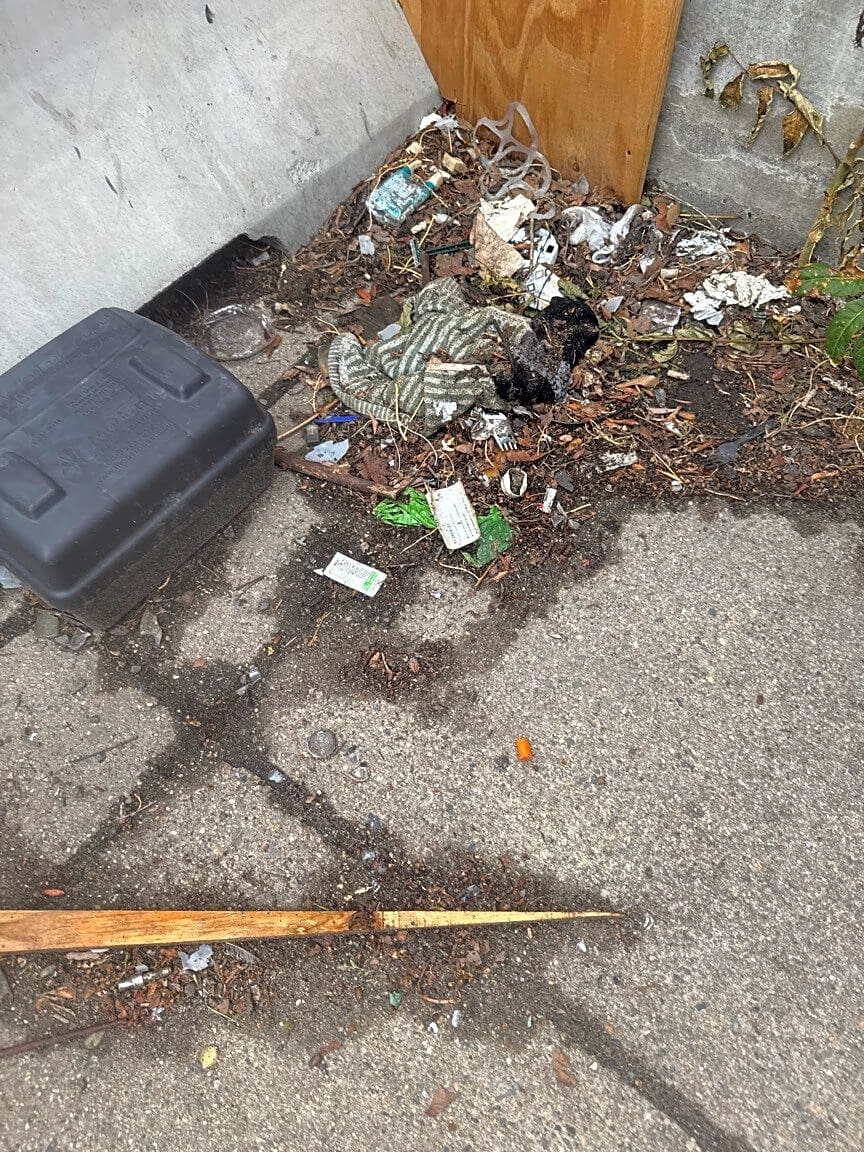 Image submitted with report