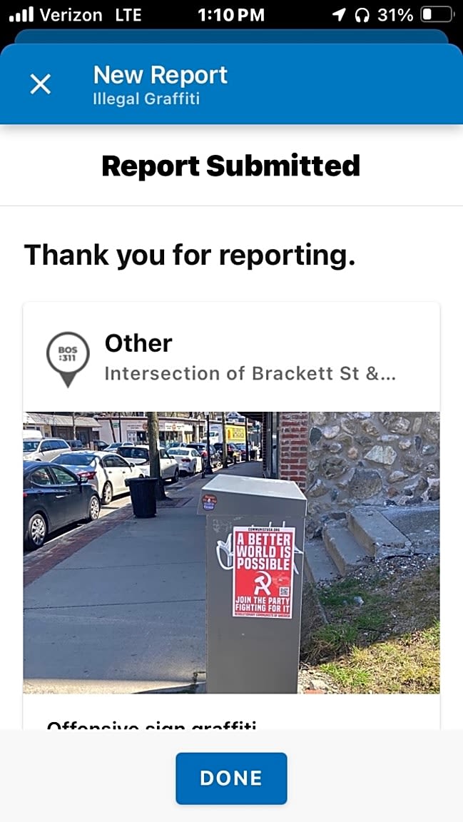 Image submitted with report
