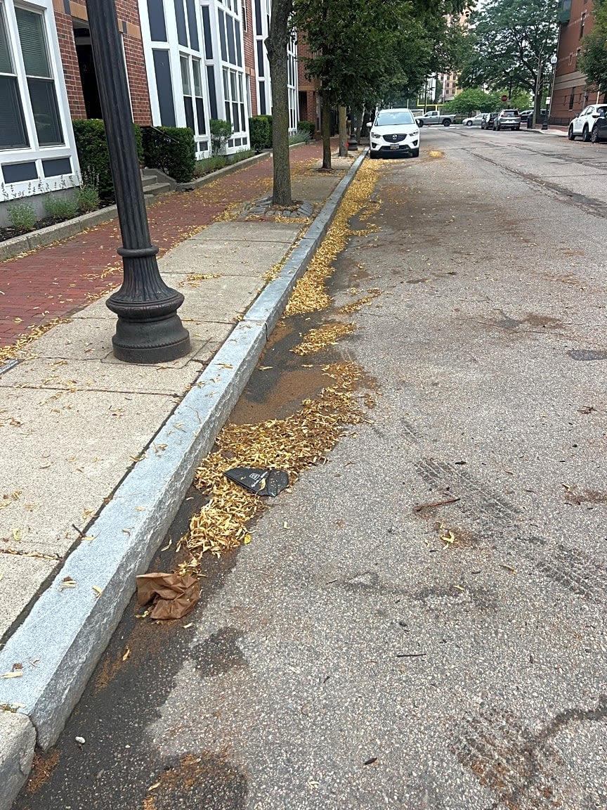 Image submitted with report
