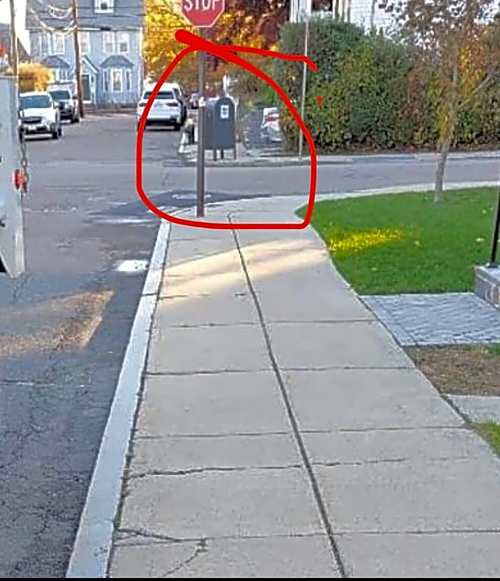 Image submitted with report