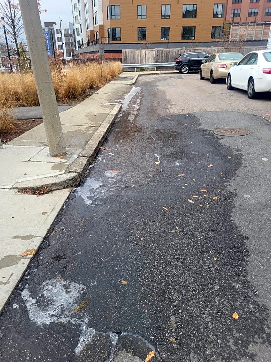 Image submitted with report