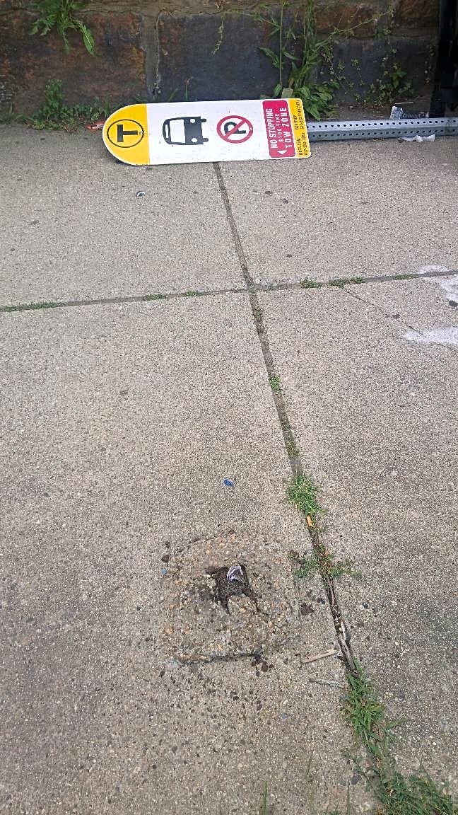 Image submitted with report