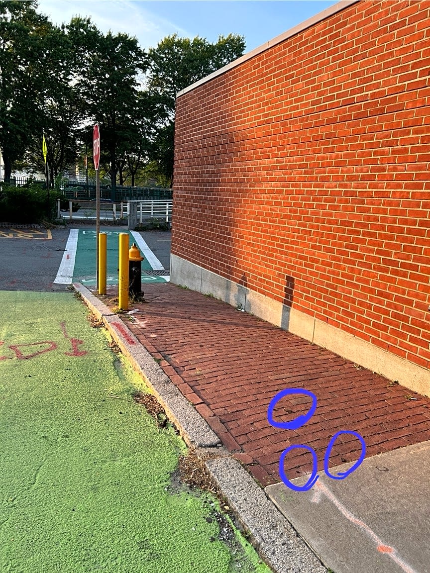 Image submitted with report
