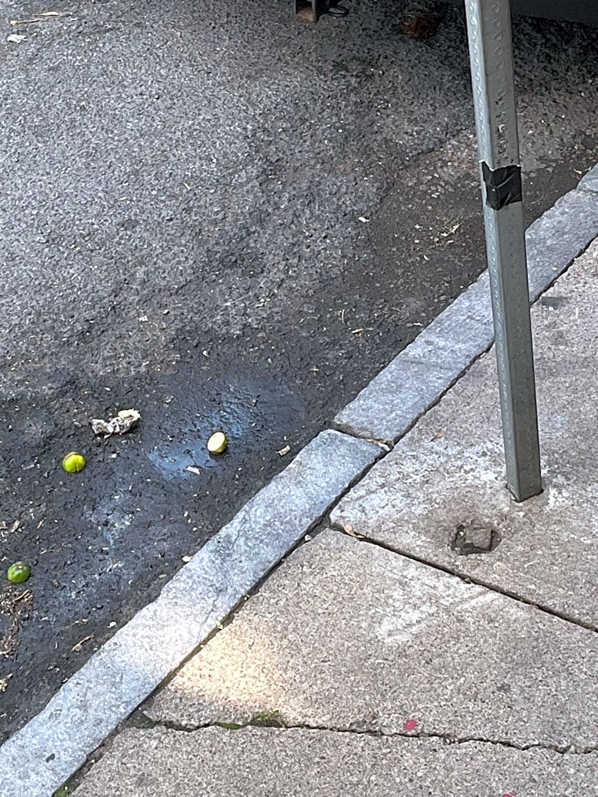 Image submitted with report