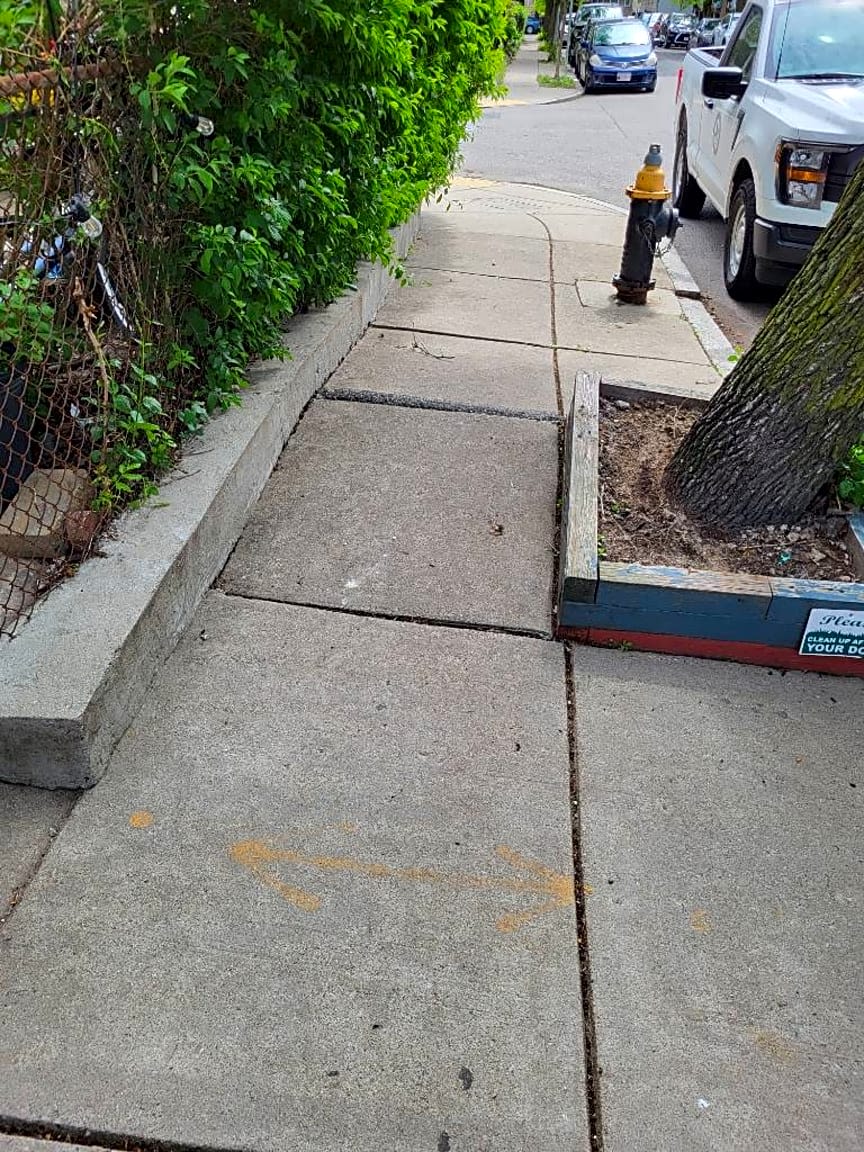 Image submitted with report