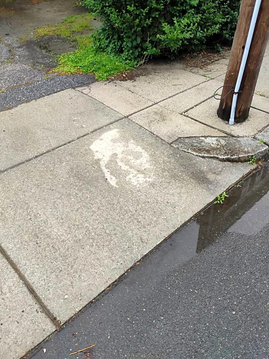 Image submitted with report
