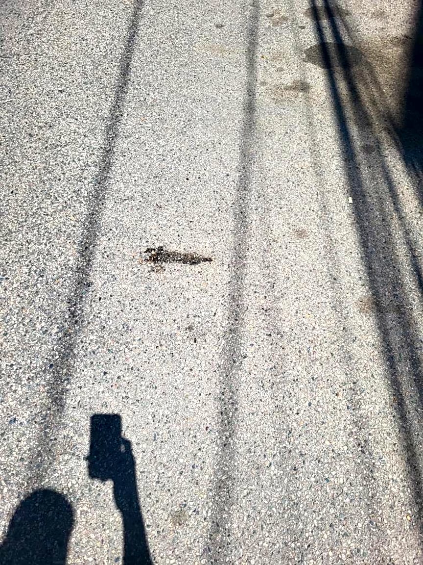 Image submitted with report