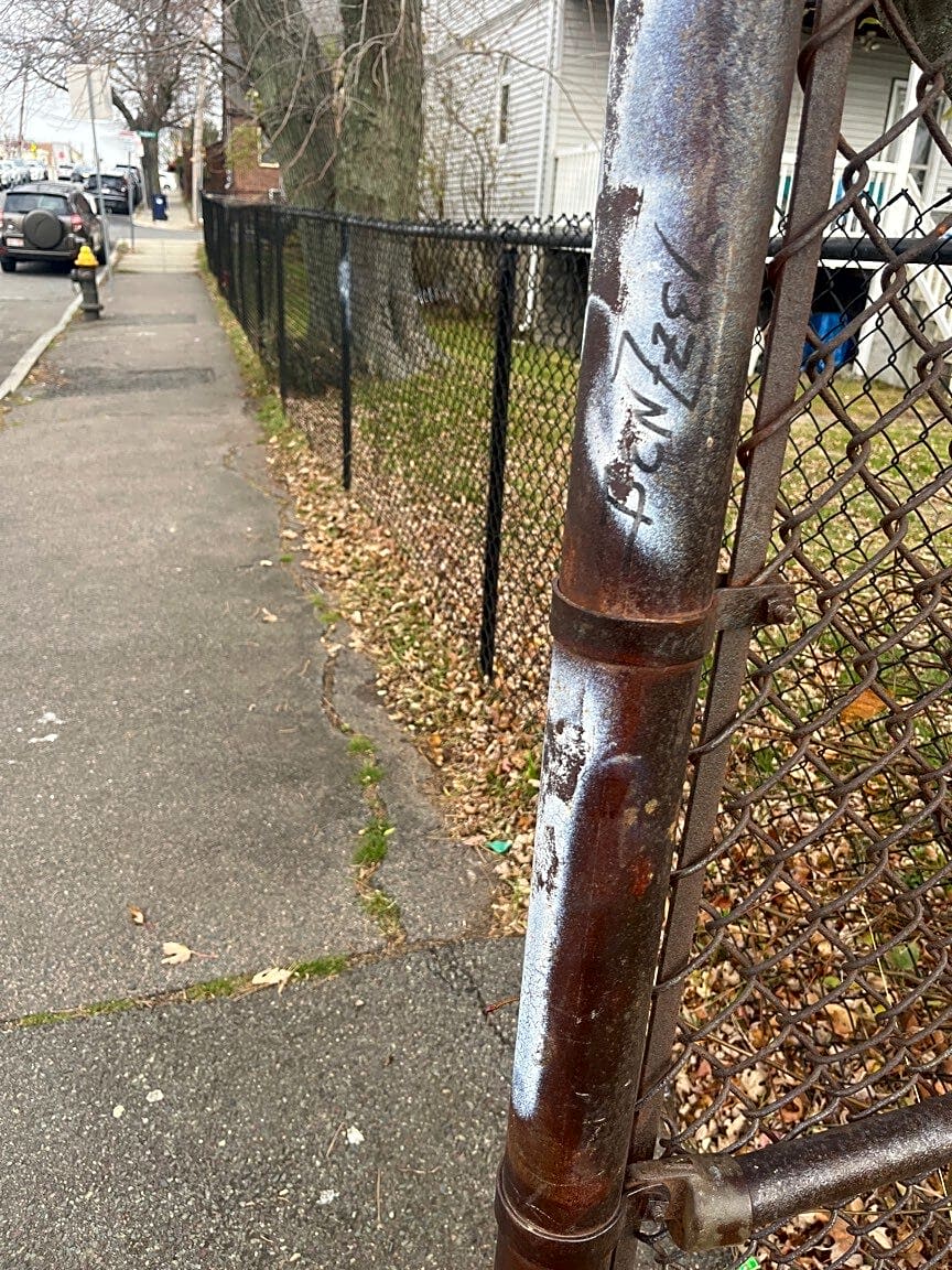 Image submitted with report