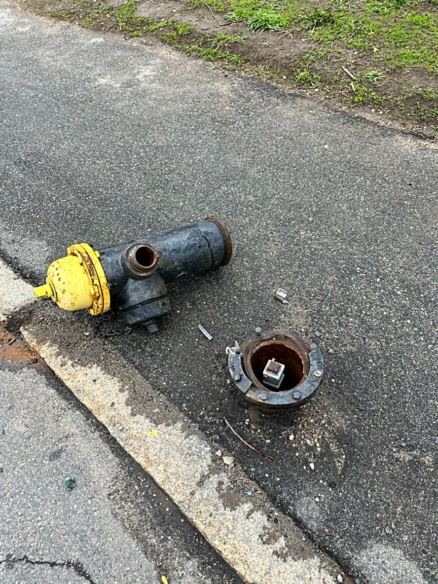 Image submitted with report