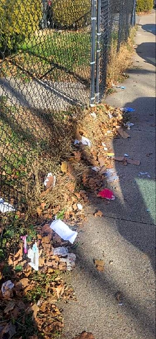 Image submitted with report