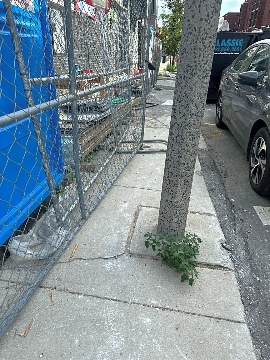 Image submitted with report