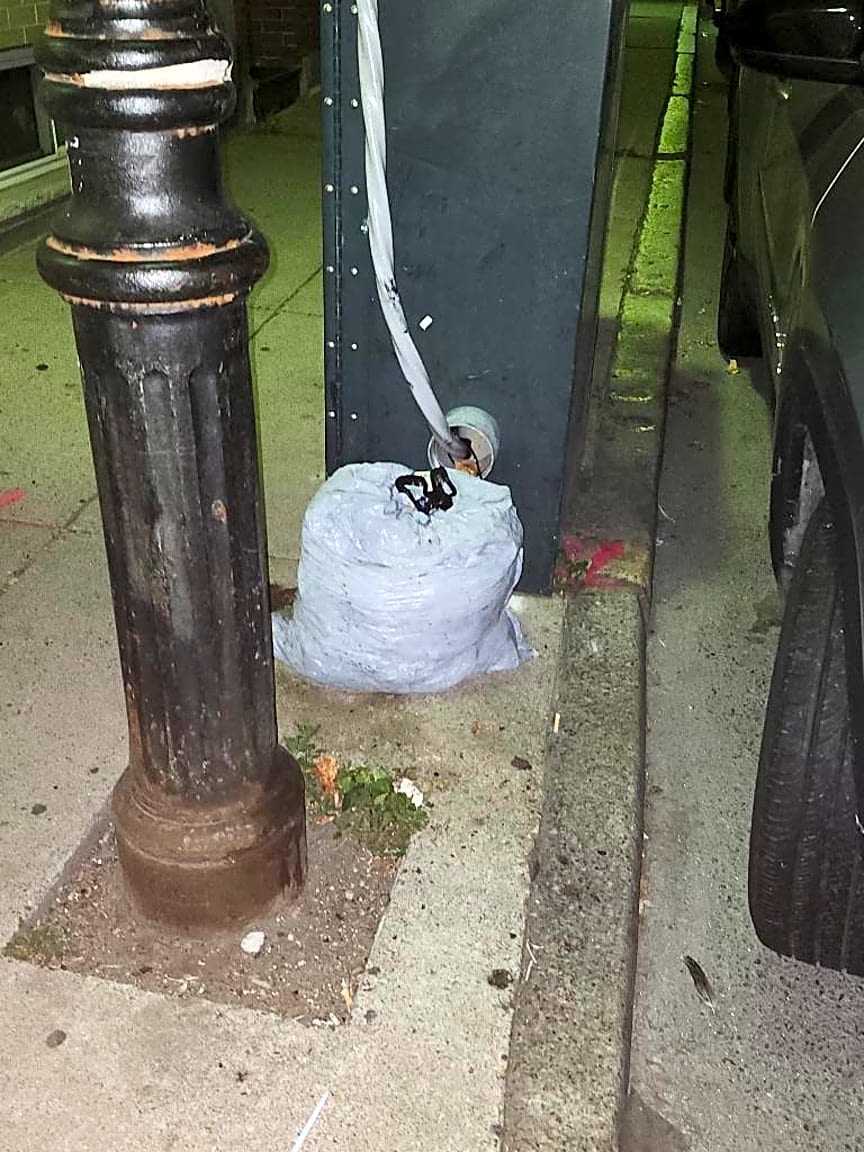 Image submitted with report