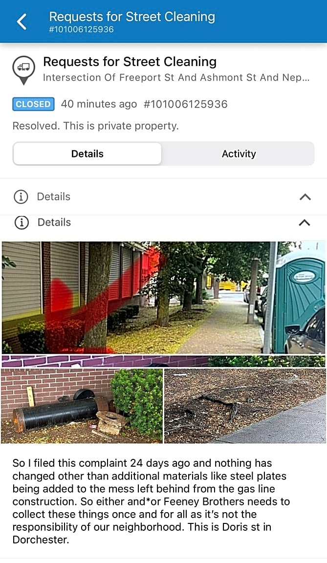 Image submitted with report