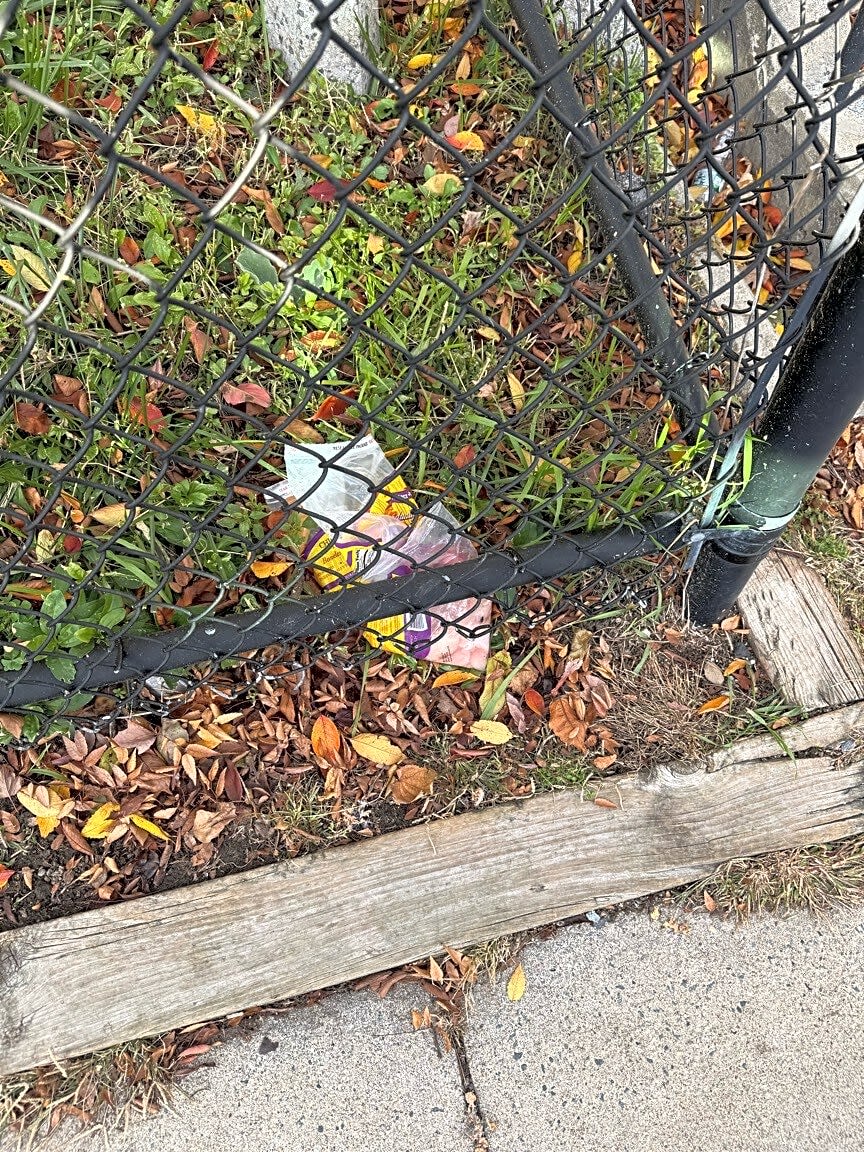 Image submitted with report