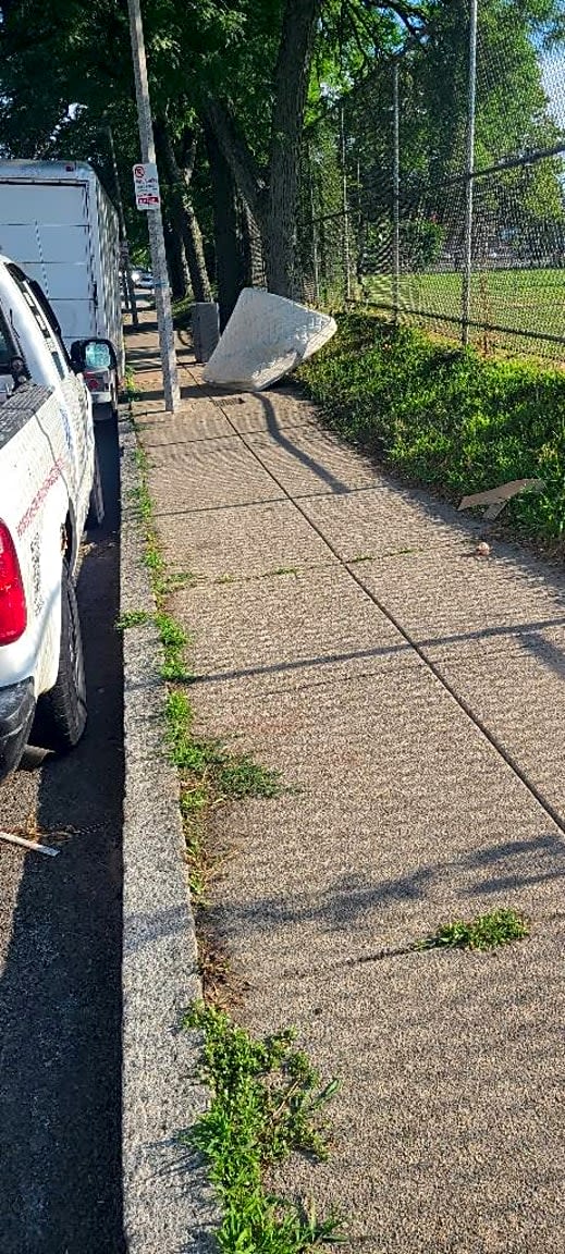 Image submitted with report