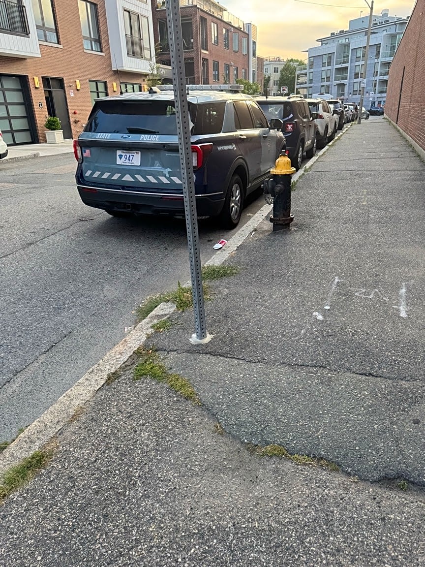 Image submitted with report