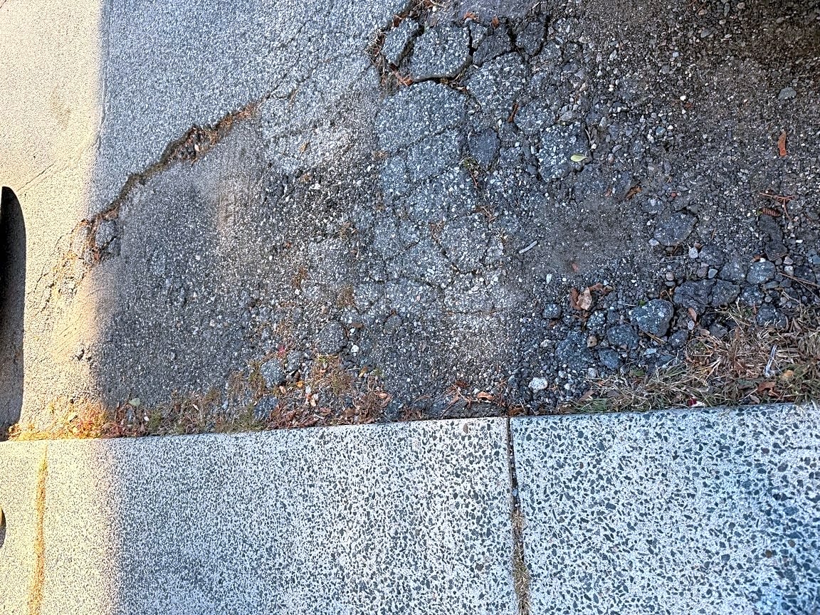 Image submitted with report