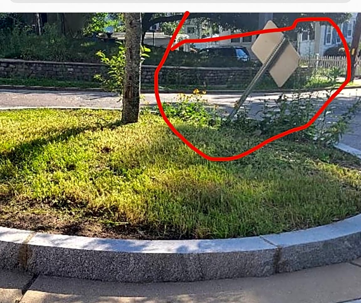 Image submitted with report
