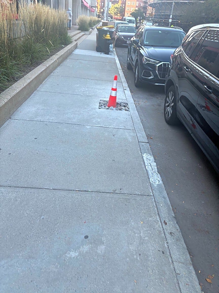 Image submitted with report