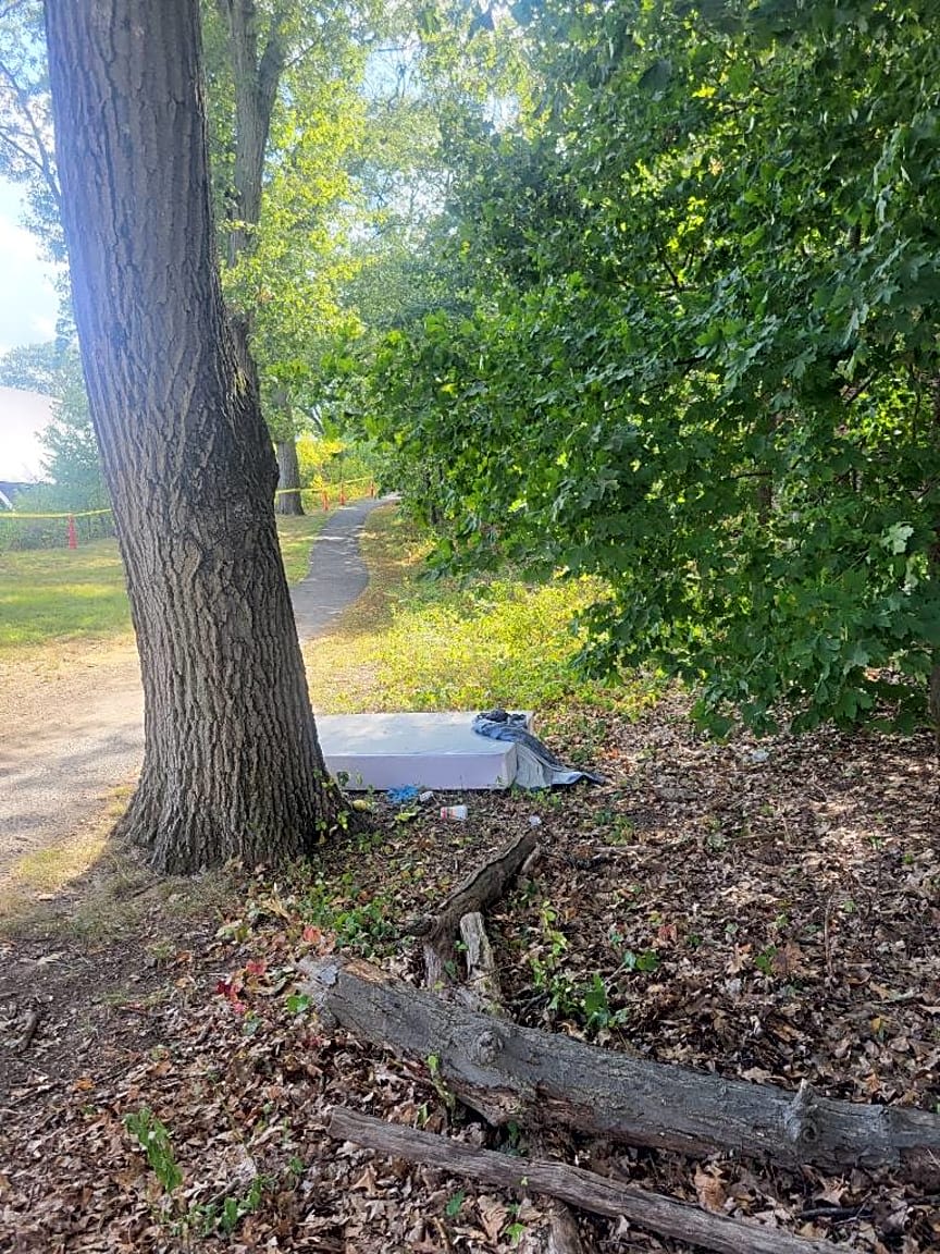 Image submitted with report