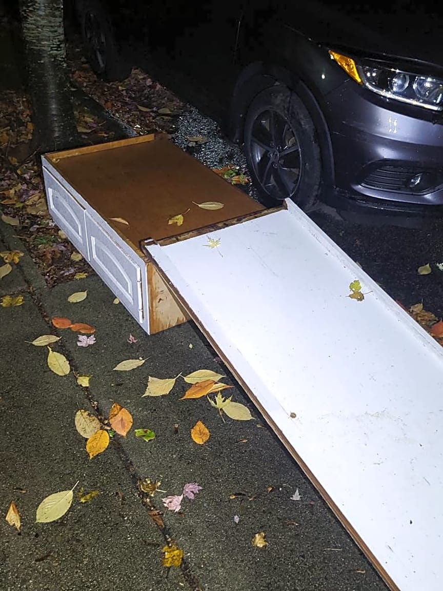 Image submitted with report