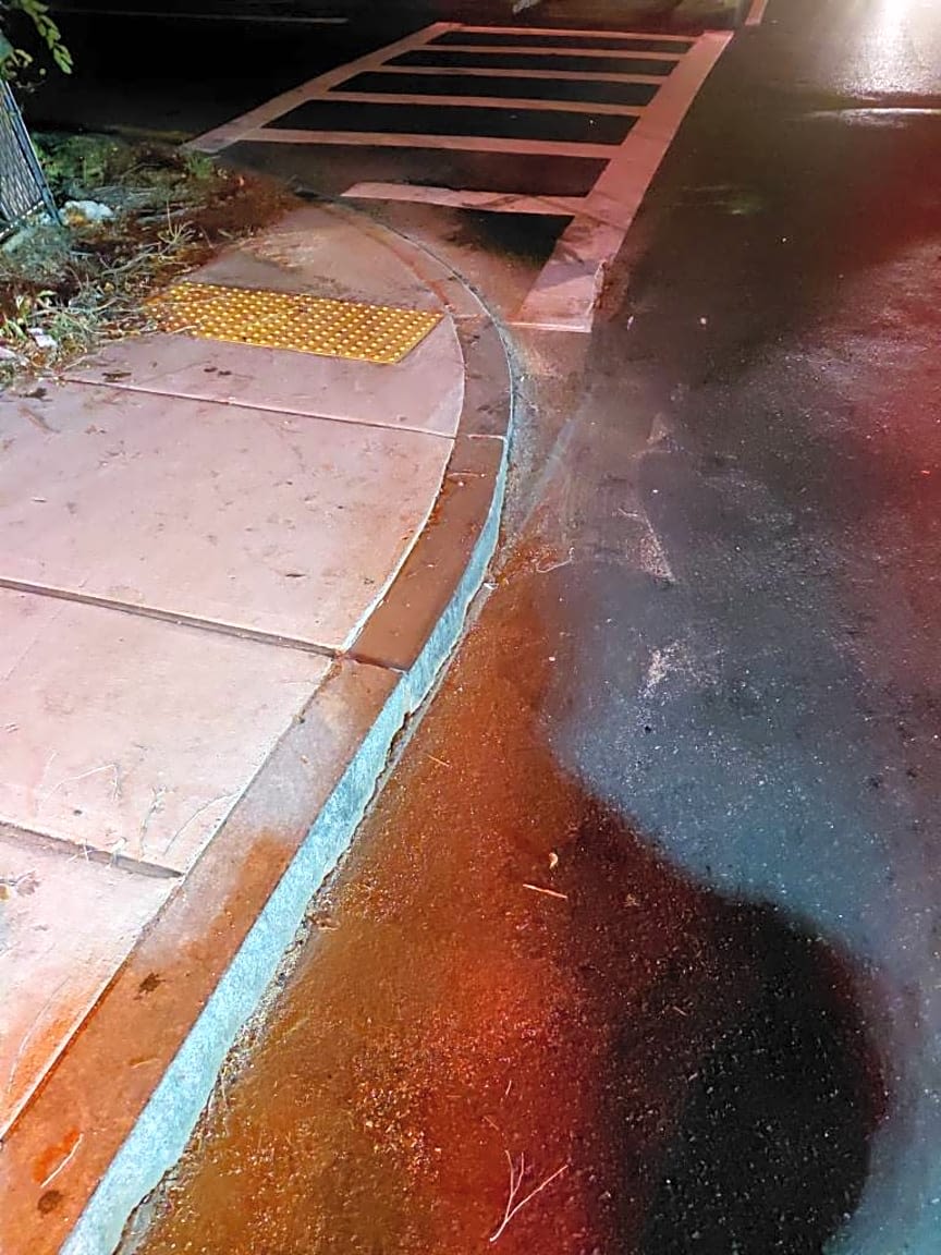 Image submitted with report