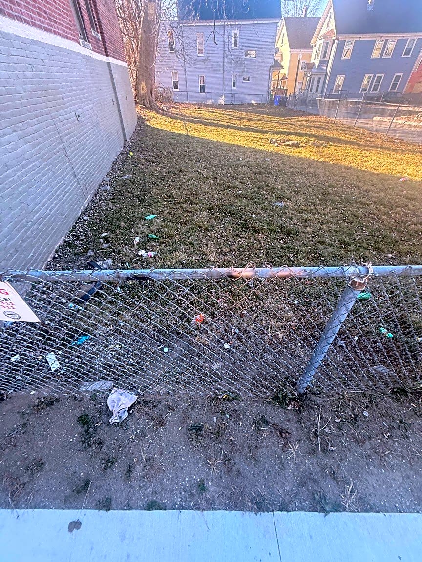 Image submitted with report