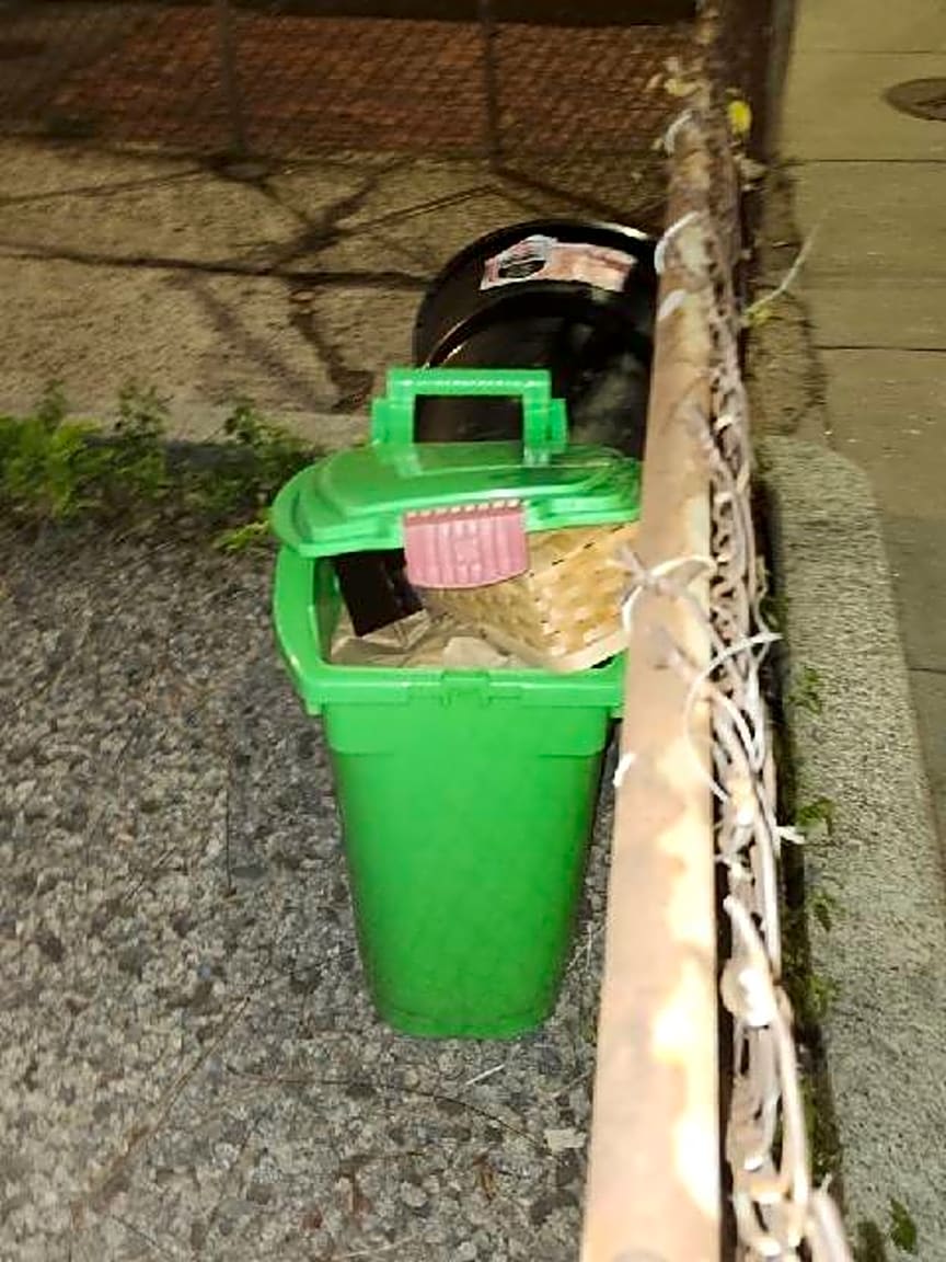 Image submitted with report