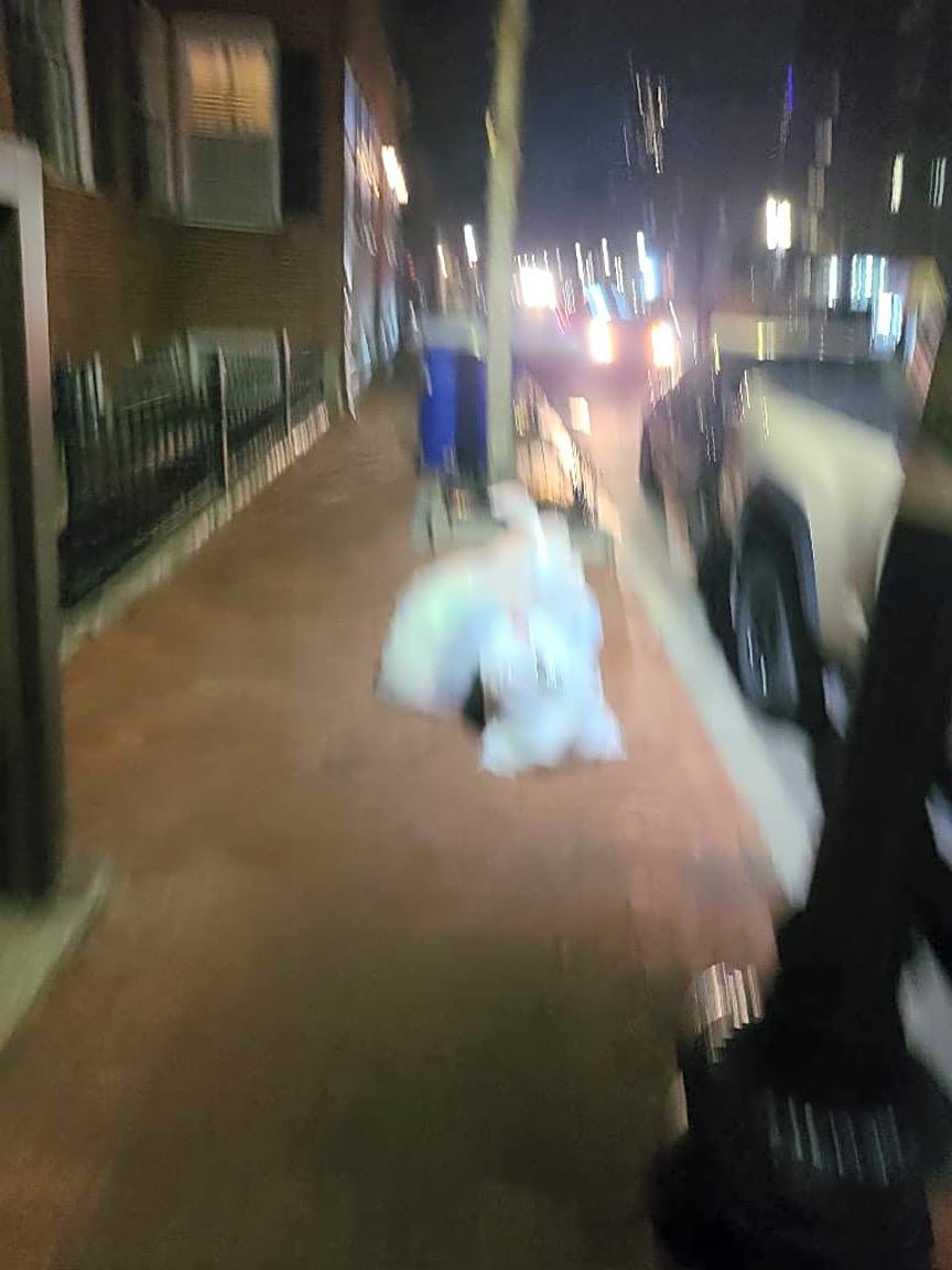 Image submitted with report