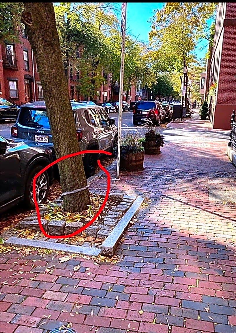 Image submitted with report