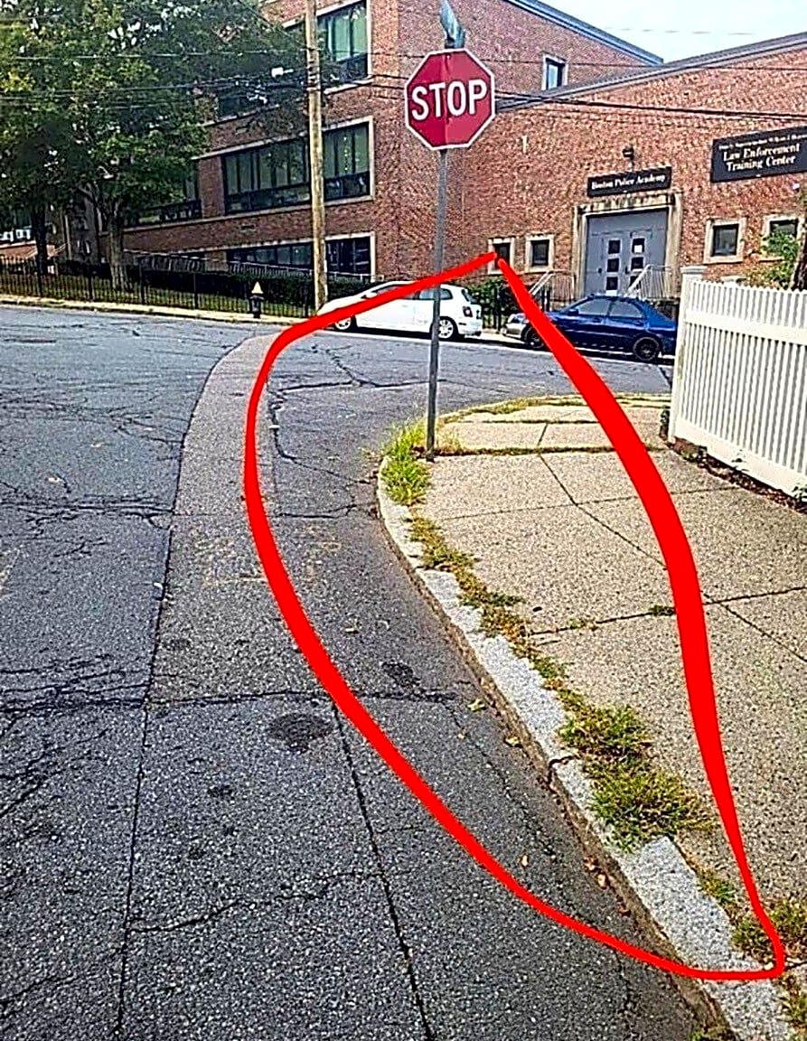 Image submitted with report