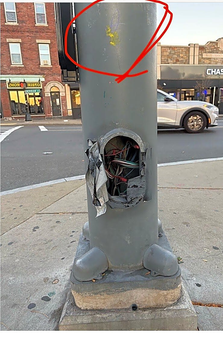 Image submitted with report