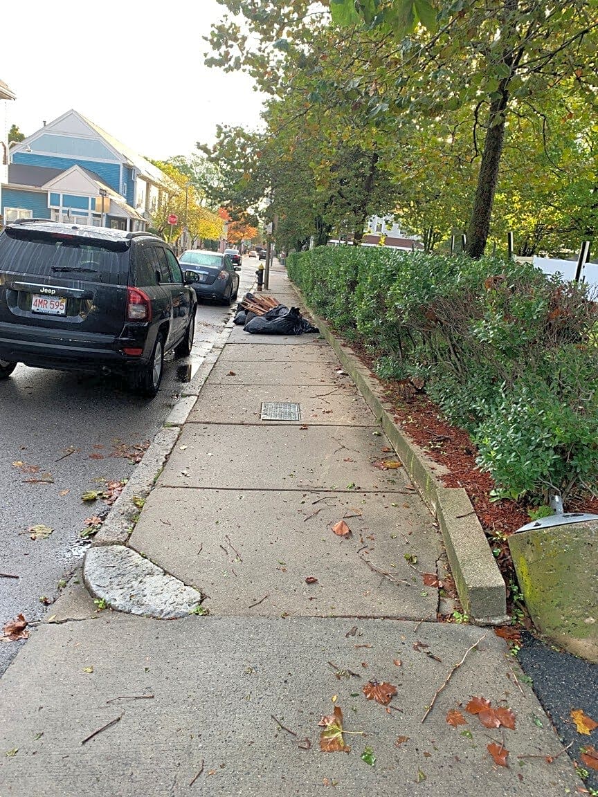 Image submitted with report