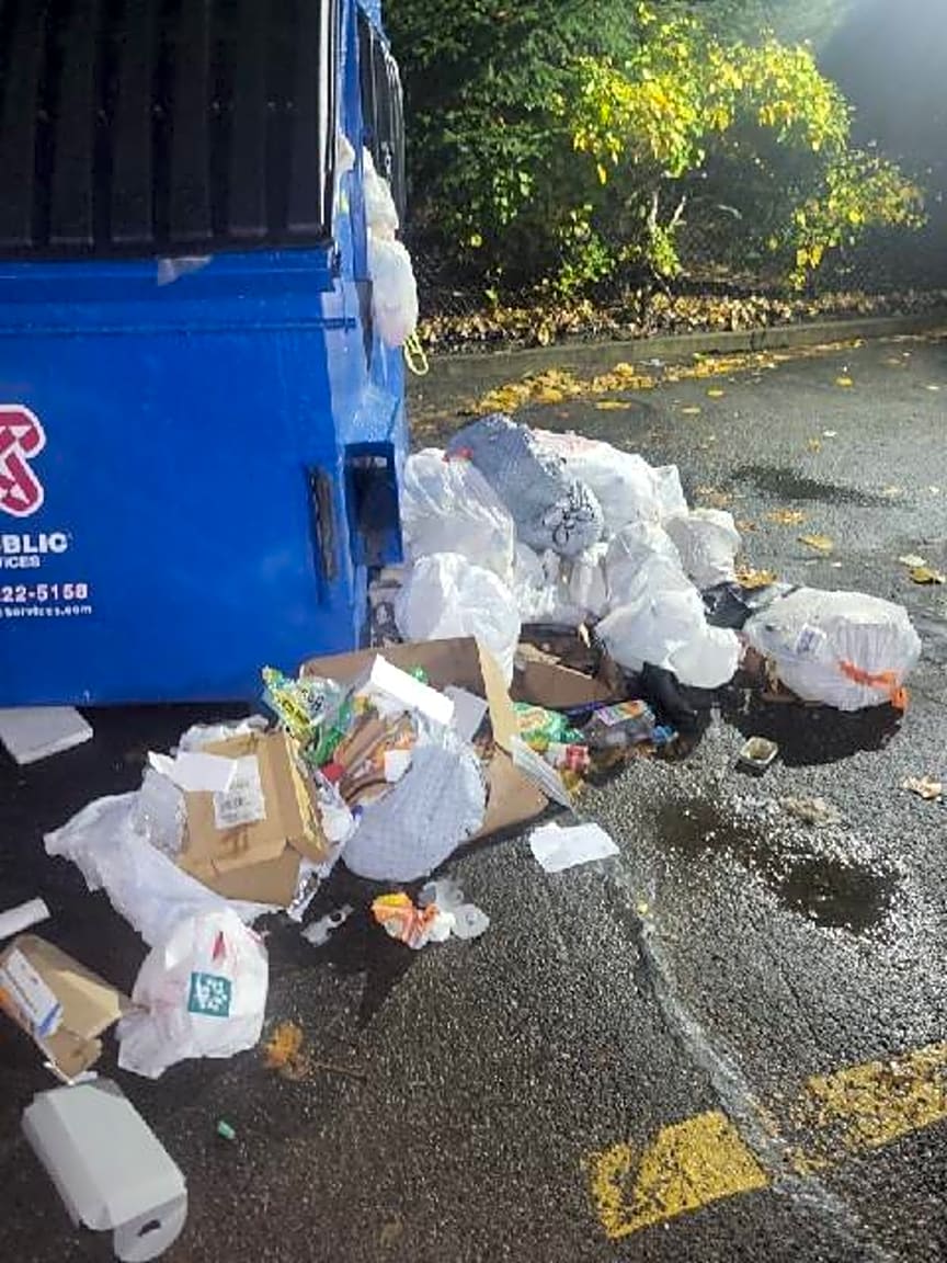 Image submitted with report