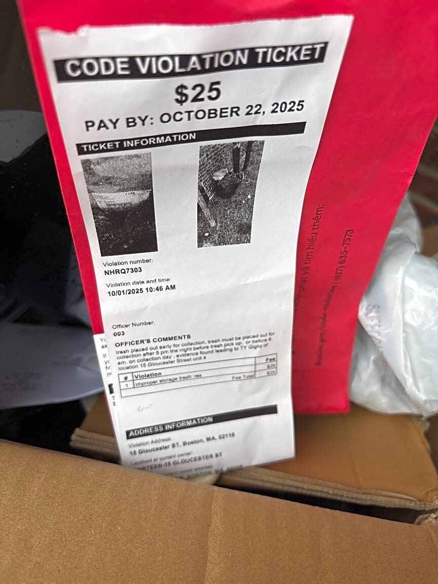 Image submitted with report