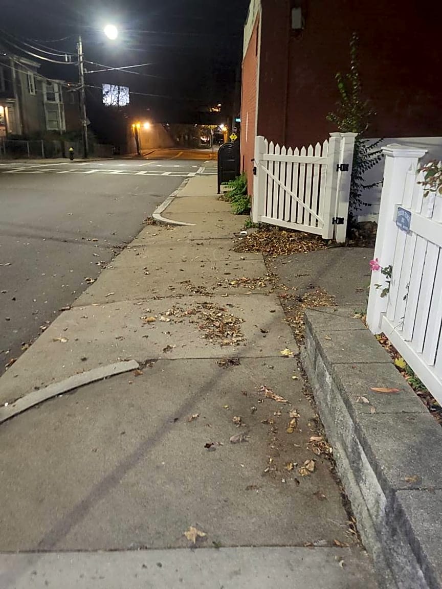 Image submitted with report