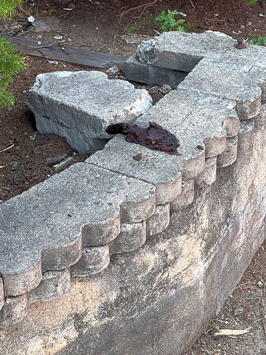 Image submitted with report