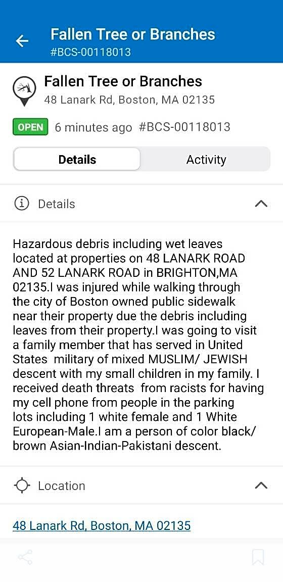 Image submitted with report