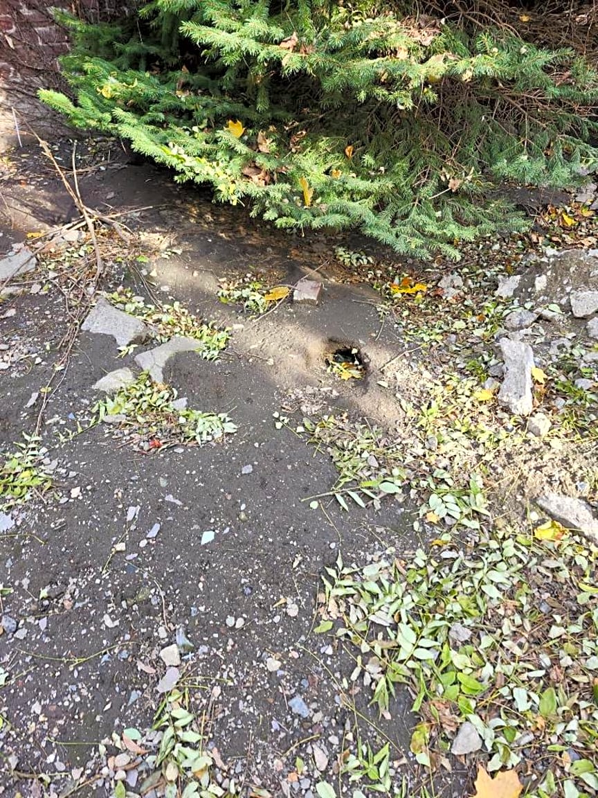 Image submitted with report