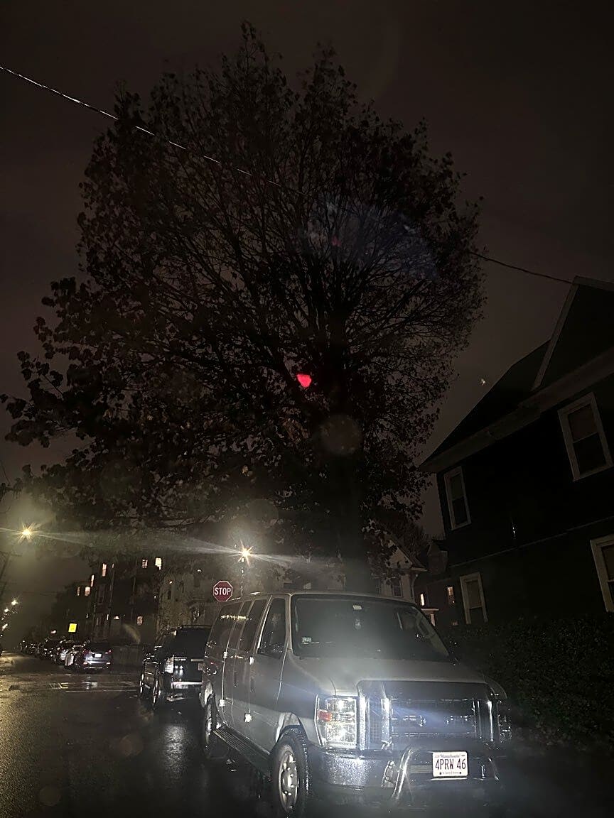 Image submitted with report