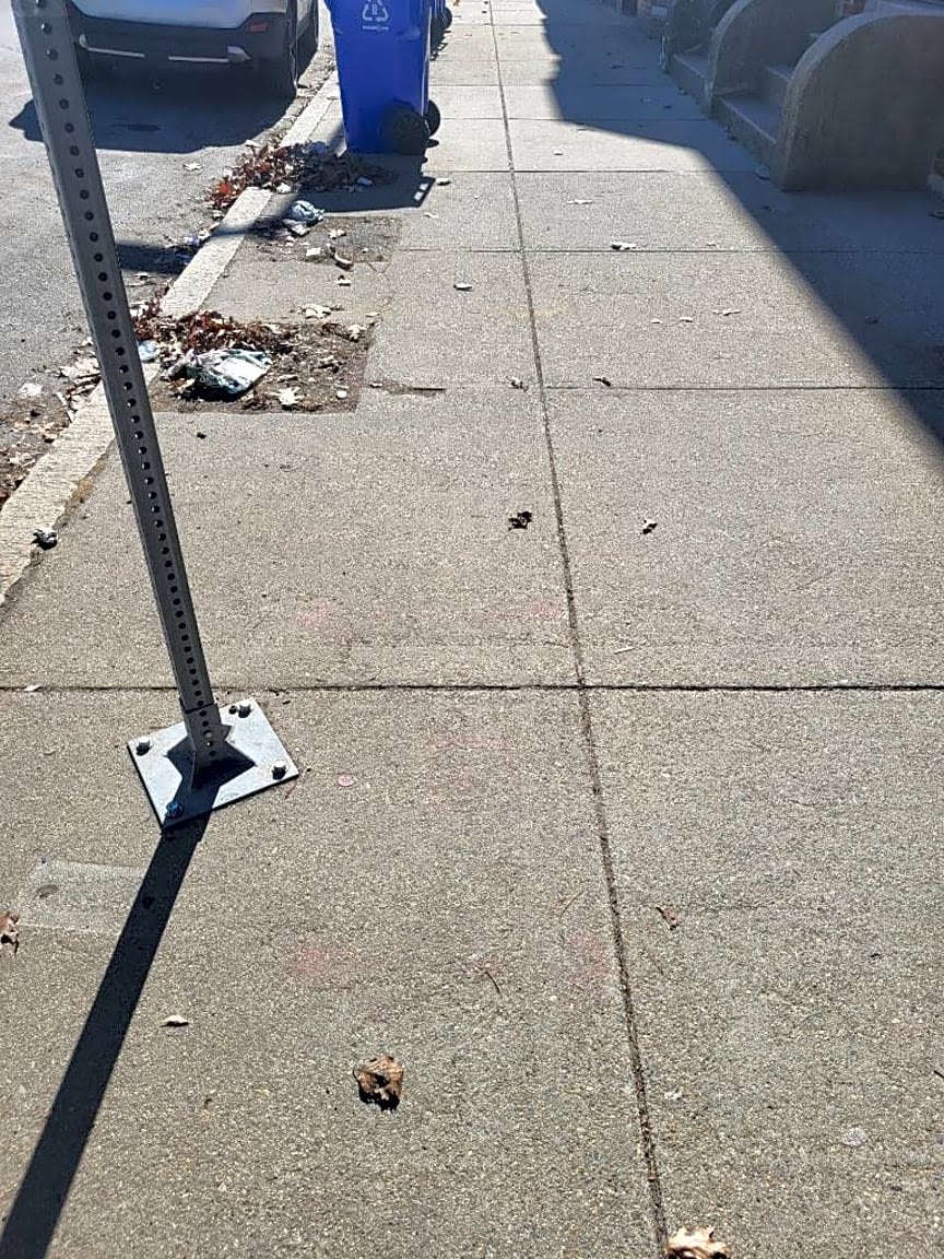 Image submitted with report
