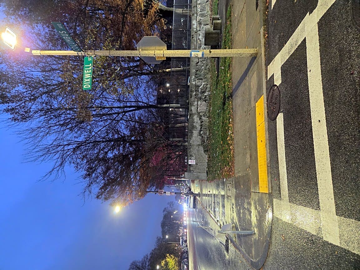 Image submitted with report