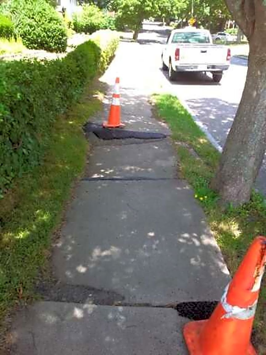 Image submitted with report