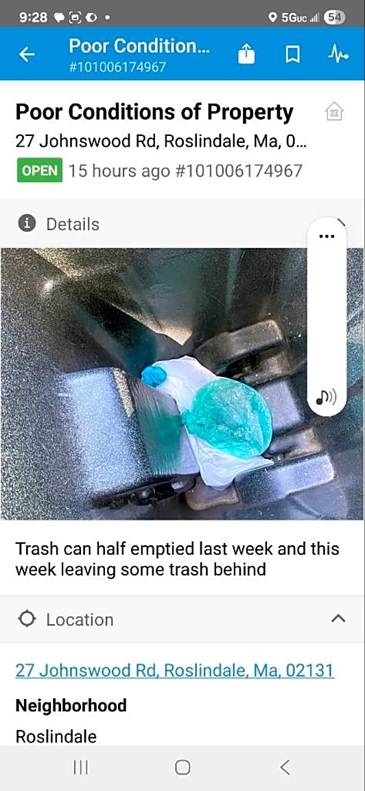 Image submitted with report