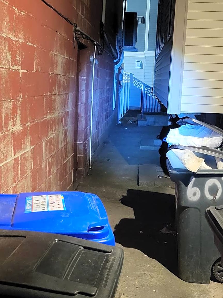 Image submitted with report